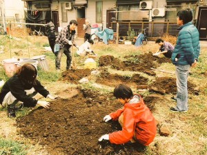 畑の開墾も山あり谷ありで継続中です。